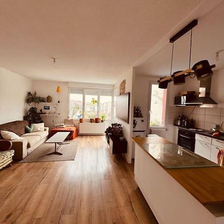 Bel Appartement Proche Mulhouse Pfastatt Exterior foto
